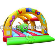 inflatable bouncer